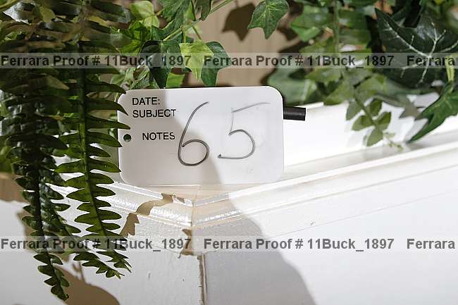 Proof Number 11buck_1897
