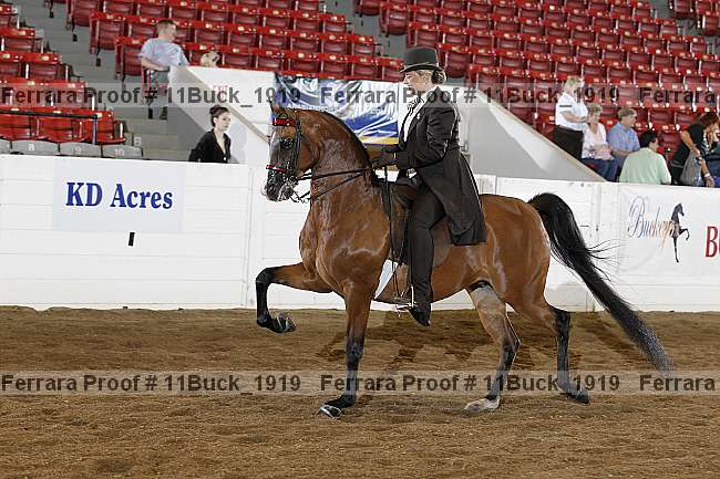 Proof Number 11buck_1919