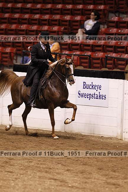 Proof Number 11buck_1951