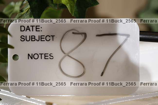 Proof Number 11buck_2565