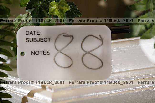 Proof Number 11buck_2601