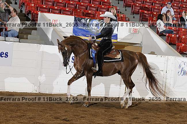 Proof Number 11buck_2655
