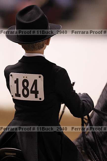 Proof Number 11buck_2940