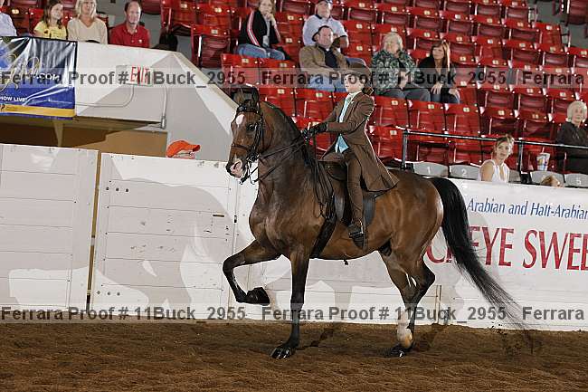 Proof Number 11buck_2955