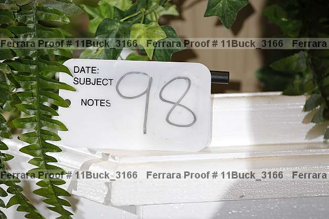 Proof Number 11buck_3166