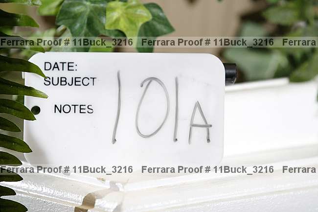 Proof Number 11buck_3216