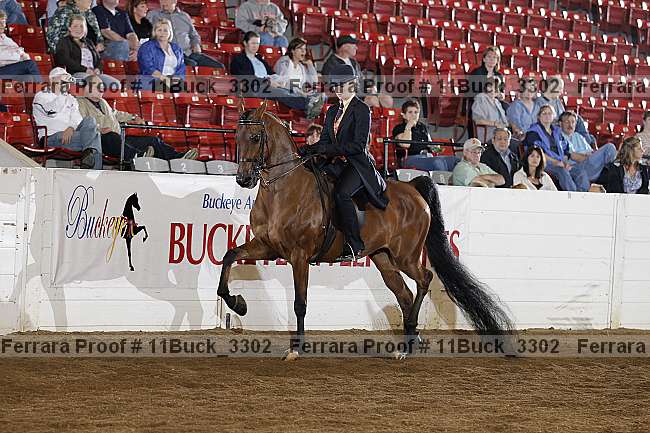Proof Number 11buck_3302