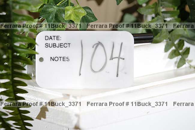 Proof Number 11buck_3371