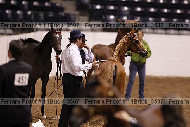 Proof Number 11buck_3507
