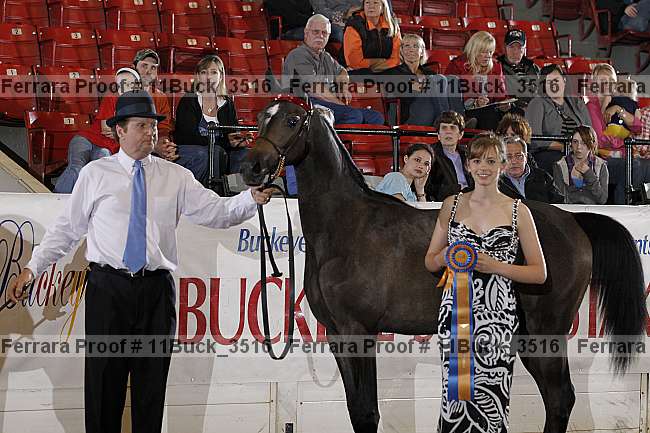 Proof Number 11buck_3516