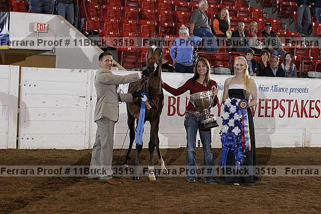 Proof Number 11buck_3519