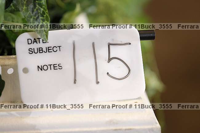 Proof Number 11buck_3555