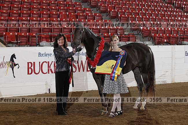 Proof Number 11buck_3595