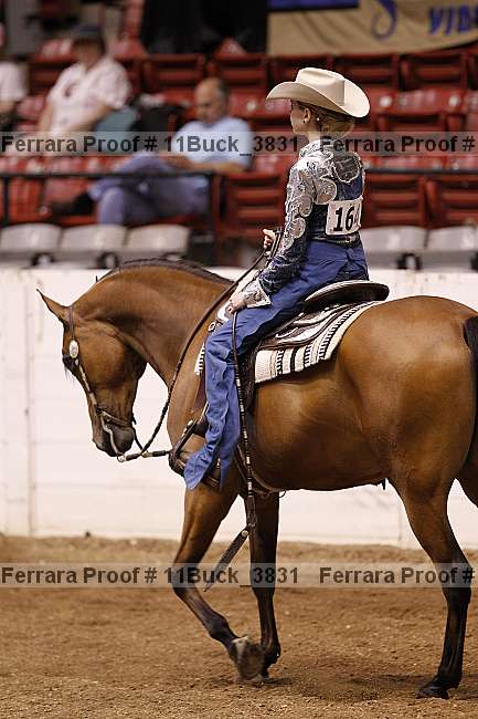 Proof Number 11buck_3831