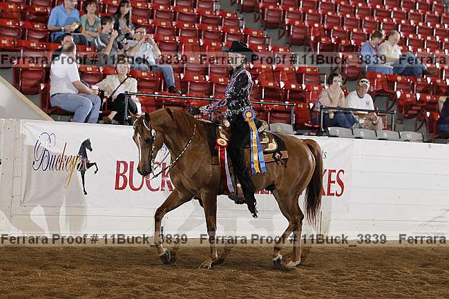 Proof Number 11buck_3839