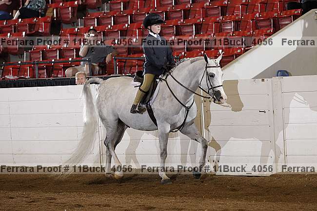 Proof Number 11buck_4056