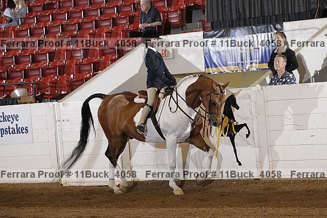 Proof Number 11buck_4058