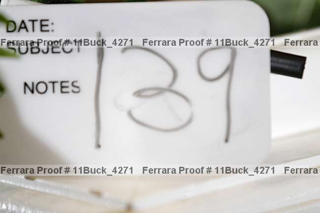Proof Number 11buck_4271
