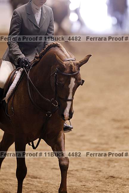 Proof Number 11buck_4482