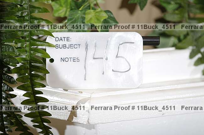 Proof Number 11buck_4511