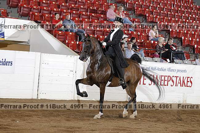 Proof Number 11buck_4961