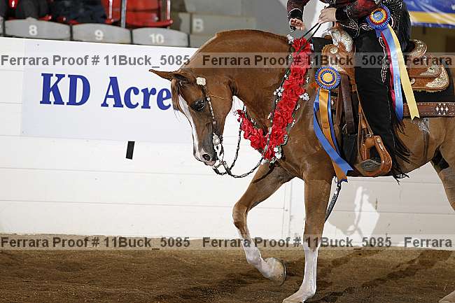 Proof Number 11buck_5085
