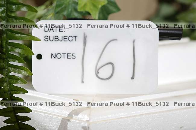 Proof Number 11buck_5132