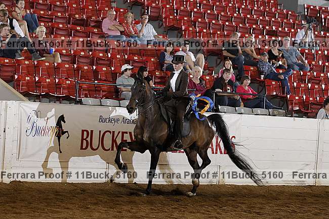 Proof Number 11buck_5160