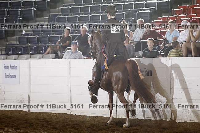 Proof Number 11buck_5161
