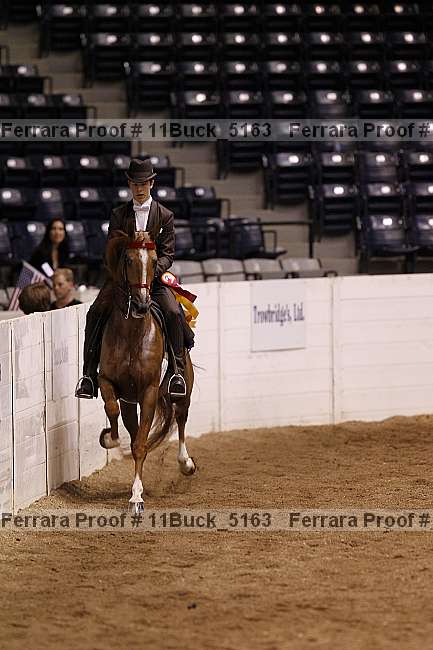 Proof Number 11buck_5163