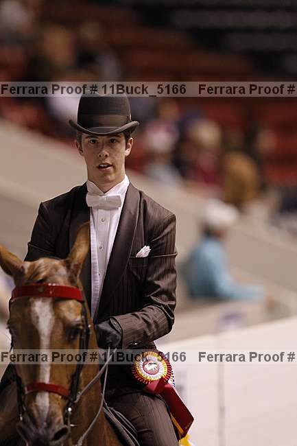 Proof Number 11buck_5166