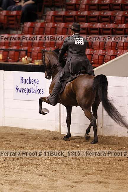Proof Number 11buck_5315