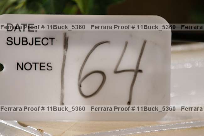 Proof Number 11buck_5360