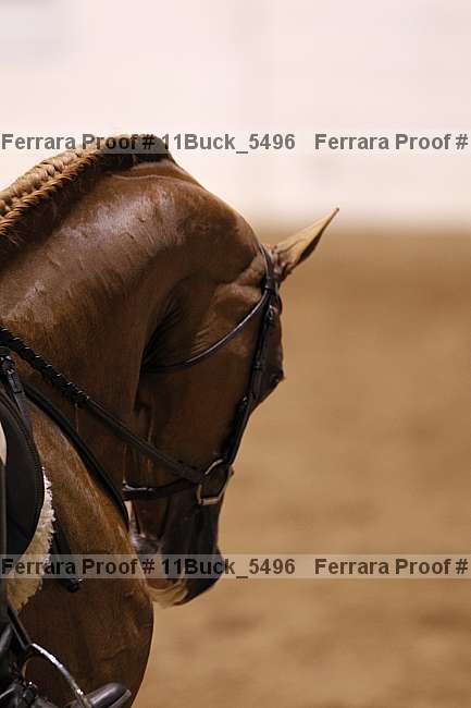 Proof Number 11buck_5496