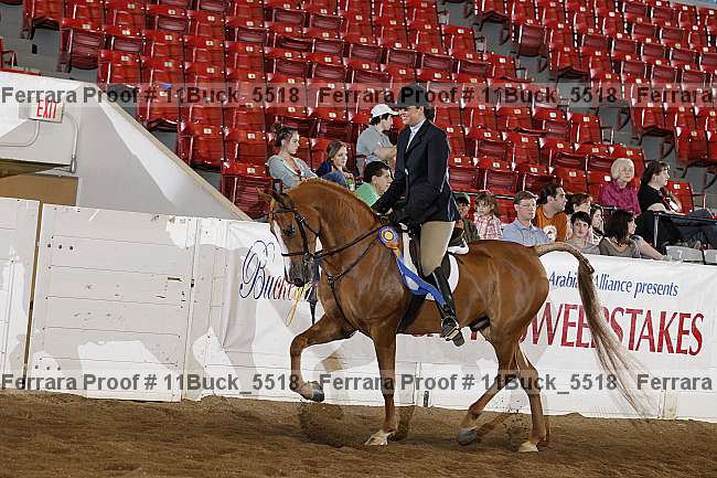Proof Number 11buck_5518