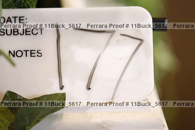 Proof Number 11buck_5617