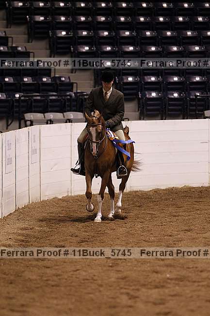 Proof Number 11buck_5745