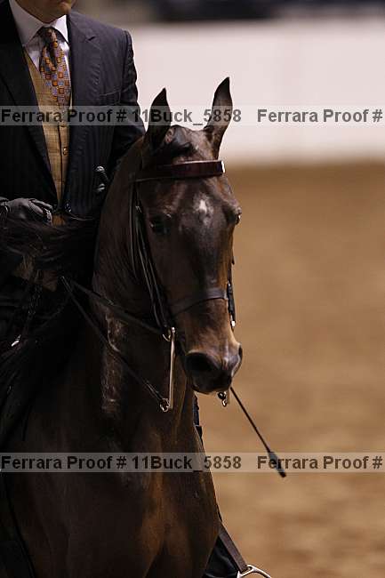 Proof Number 11buck_5858