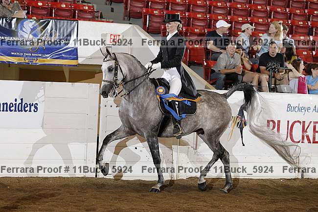 Proof Number 11buck_5924