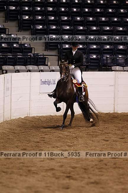 Proof Number 11buck_5935