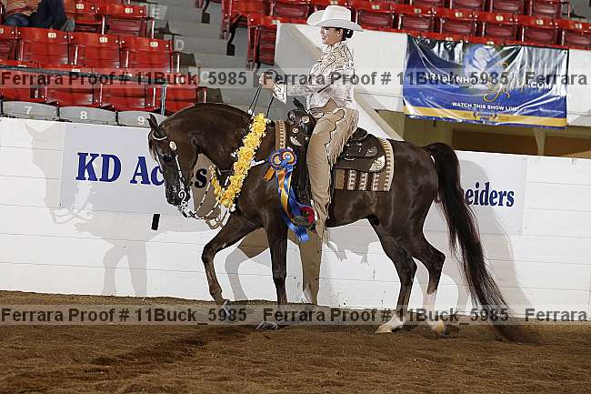 Proof Number 11buck_5985