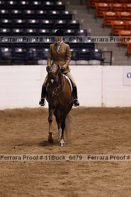 Proof Number 11buck_6079