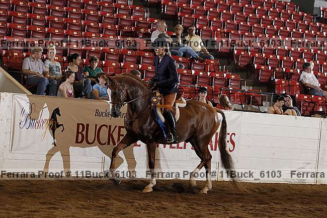 Proof Number 11buck_6103