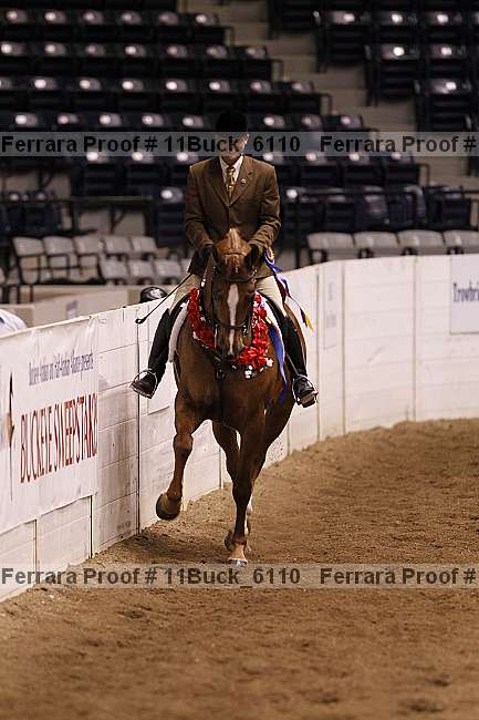 Proof Number 11buck_6110