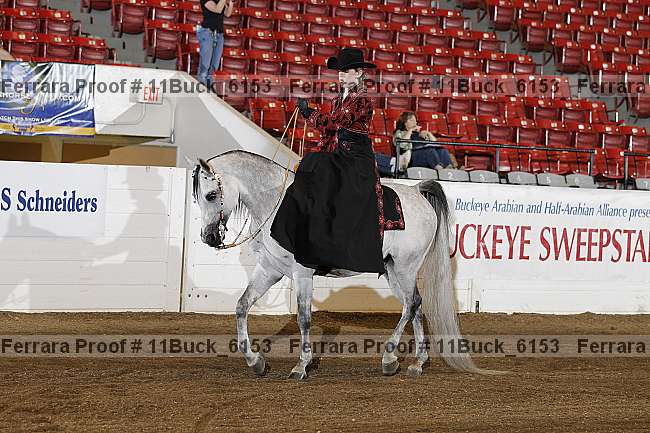 Proof Number 11buck_6153