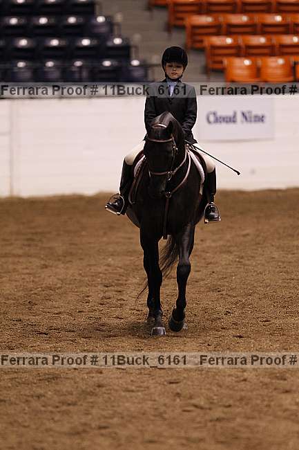 Proof Number 11buck_6161