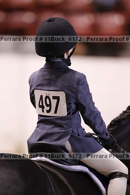 Proof Number 11buck_6172