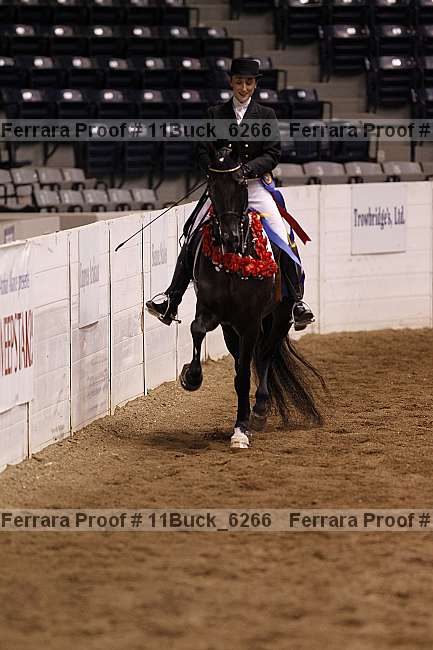 Proof Number 11buck_6266