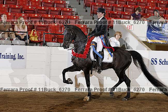 Proof Number 11buck_6270