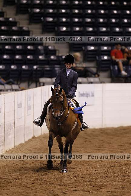 Proof Number 11buck_6368